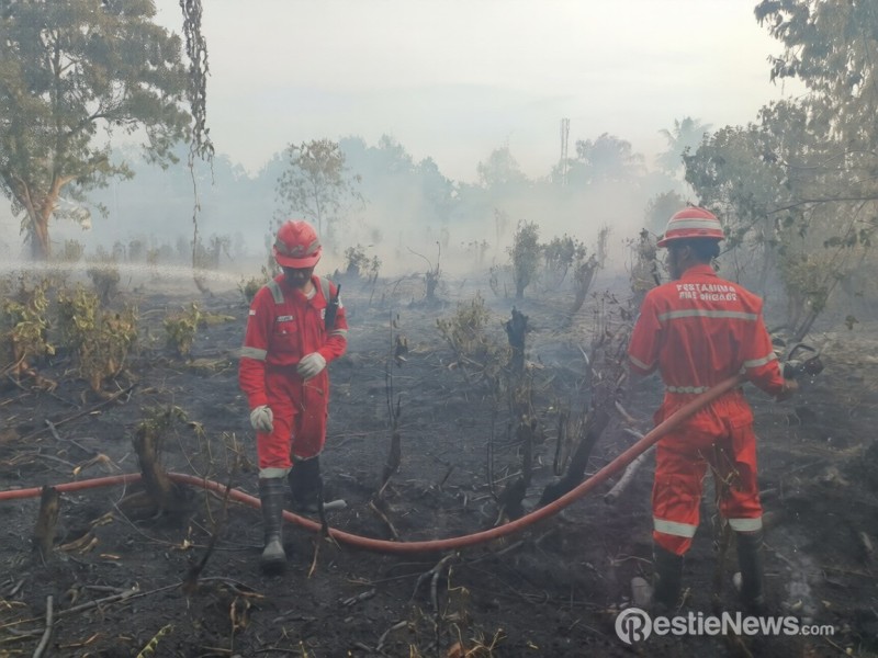 Kilang Pertamina Dumai  Bantu Padamkan Kebakaran Lahan Tanjung Palas