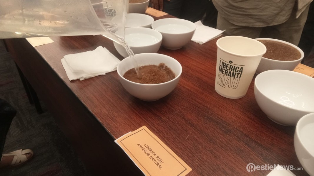 BI Riau Dorong Pengembangan Kopi Liberika Meranti