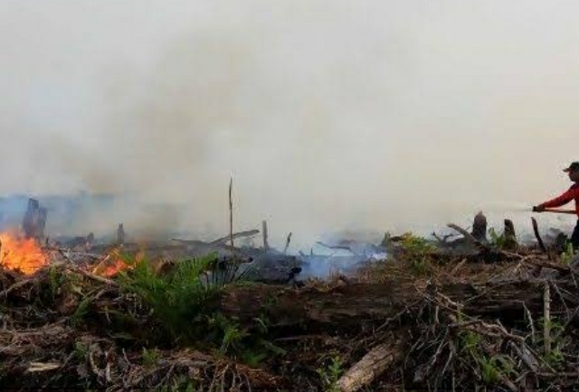 Kebakaran Lahan di Pekanbaru Sudah Tercatat 36 Kasus