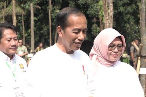 Ini Komentar Jokowi Ketika Ramai Kritik IKN