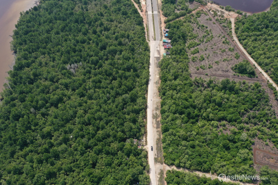 Menjaga Ecoeduwisata Bandar Bakau dan Konservasi Mangrove di Pesisir Riau