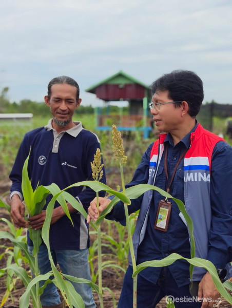 Melihat Potensi Budidaya Pertanian Sorgum dan Agrowisata Buah dari Kota Dumai