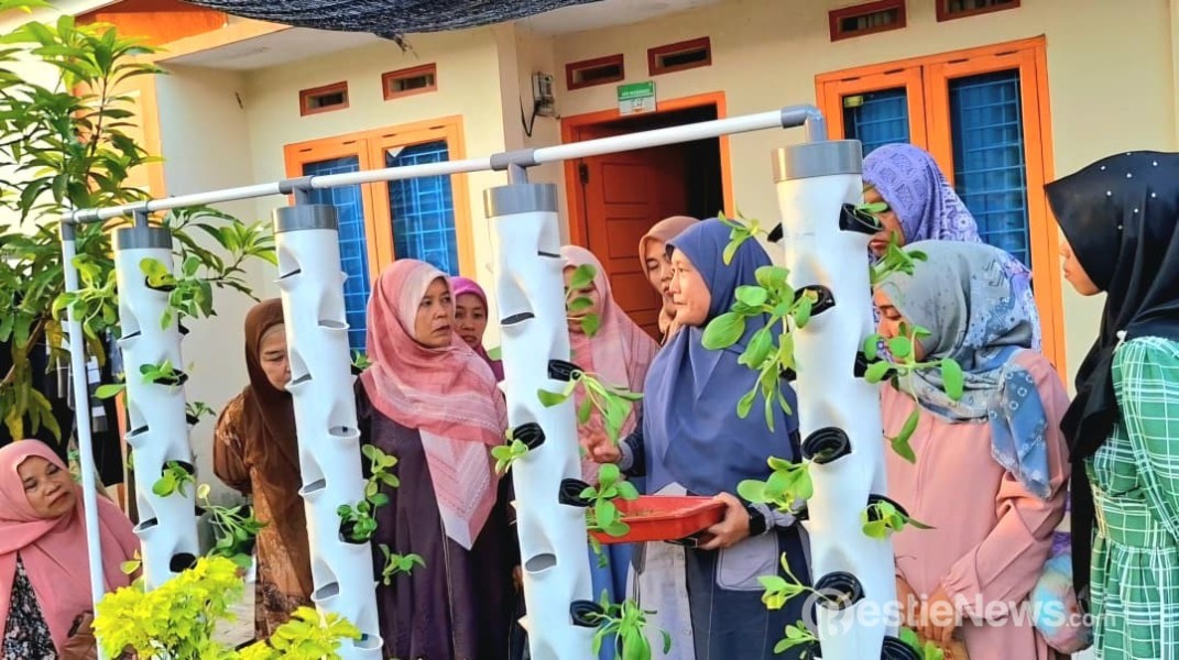 Warga Kasang Kulim Kembangkan Hidroponik Program Kemdiktisaintek
