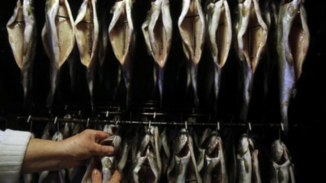 Catat, Ini 5 Ikan yang Tak Boleh Dimakan Penderita Asam Urat