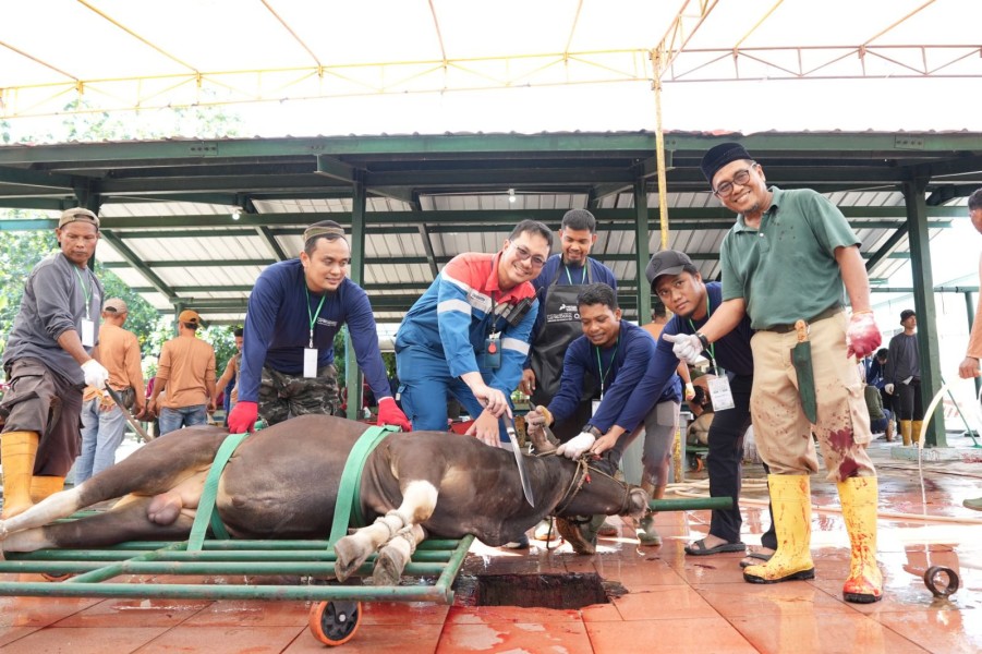 Pertamina Patra Niaga Kilang Dumai Salurkan 100 Hewan Kurban