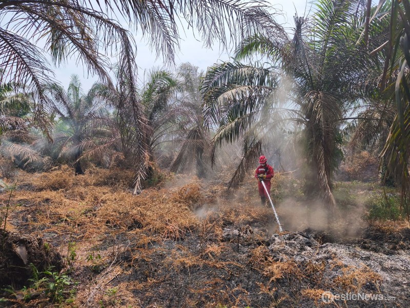 Pertamina Patra Niaga Kilang Dumai  Hemat Energi dan Tekan Emisi