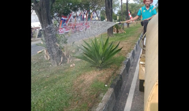 Kering Kerontang, Jadwal Penyiraman Tanaman di Median Jalan Pekanbaru Ditambah
