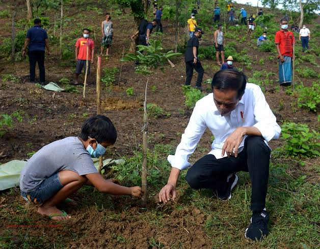 Jokowi Hadiri Gerakan Tanam Pohon di Hutan Kota Pulogadung