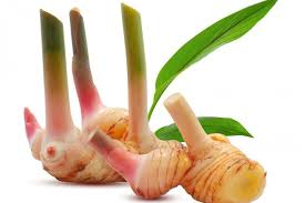 Manfaat Lengkuas Untuk Kesehatan