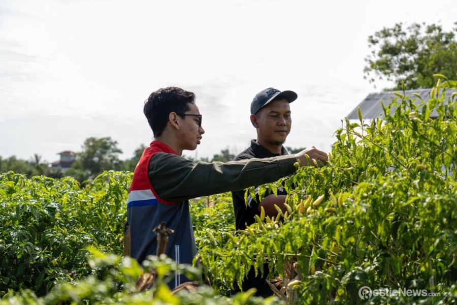 Kilang Pertamina Dumai Bangun Ketahanan Pangan dan Pemberdayaan Petani