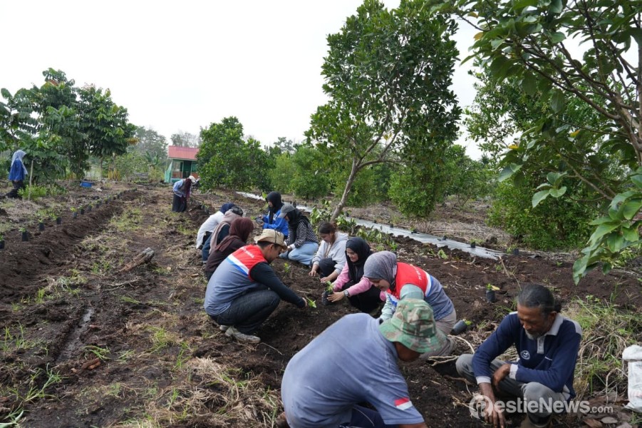 Pertamina Patra Niaga Kilang Dumai Optimalkan  Lahan Gambut  Eks Karhutla