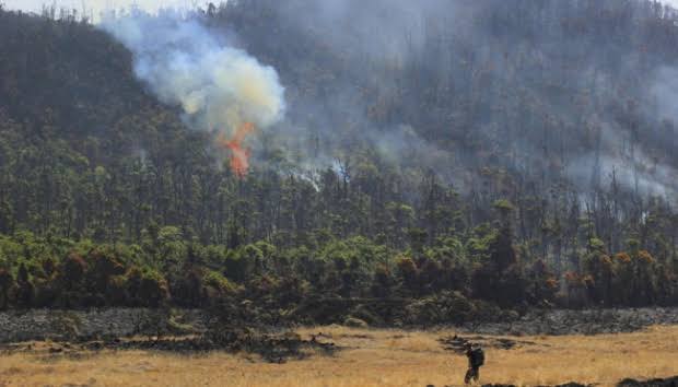 Data BPBD Karhutla Gunung Lawu: Area yang Terdampak Sudah Mencapai 2.041 Hektare