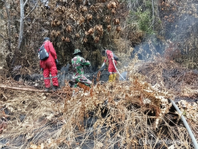 PT Pertamina  Sungai Pakning Perkuat Kontribusi Pencegahan dan Penanganan Karhutla