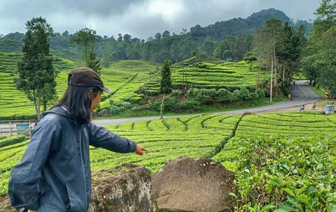 Pasutri Bikin Vedeo Syur di Kebun Teh Ngaku Awalnya Iseng dan Jadi Cuan