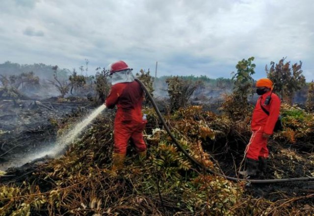 Tiga Hektare Lahan Gambut di Sungai Apit Siak Terbakar, Pemilik Masih Diselidiki