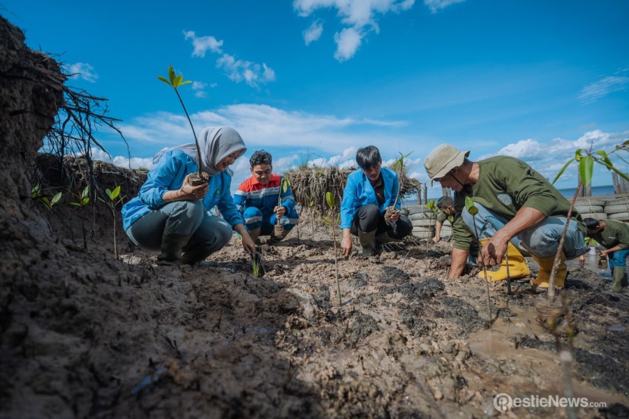 Berdayakan Wilayah Pesisir dan Ekosistem Gambut, Pertamina Patra Niaga Kilang Dumai Diganjar Platinum ISDA 2026