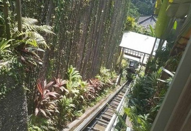 Lima Orang Tewas Akibat Lift di Resor Ubud Bali Terjun Bebas, Begi Kronologinya